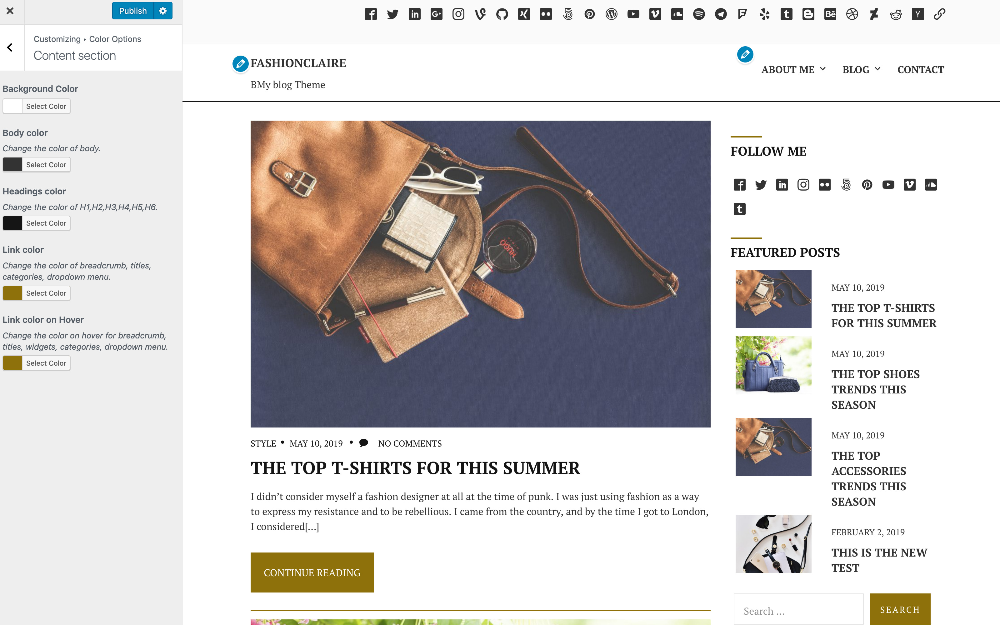 fashionclaire-WordPress-theme-color-options